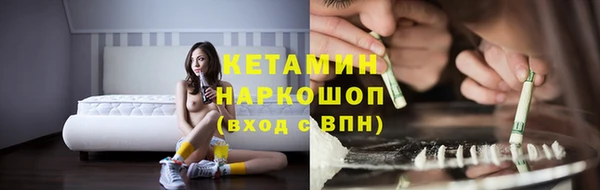 стаф Новокубанск