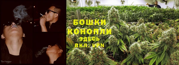 стаф Новокубанск